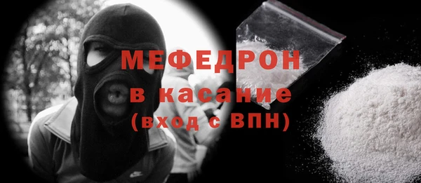 сатива Новодвинск