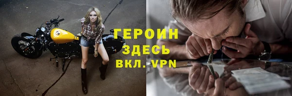 сатива Новодвинск