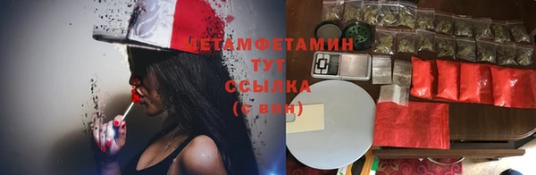 сатива Новодвинск