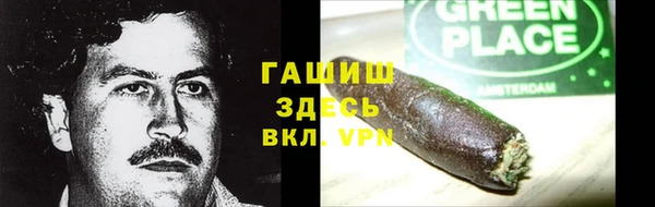 сатива Новодвинск