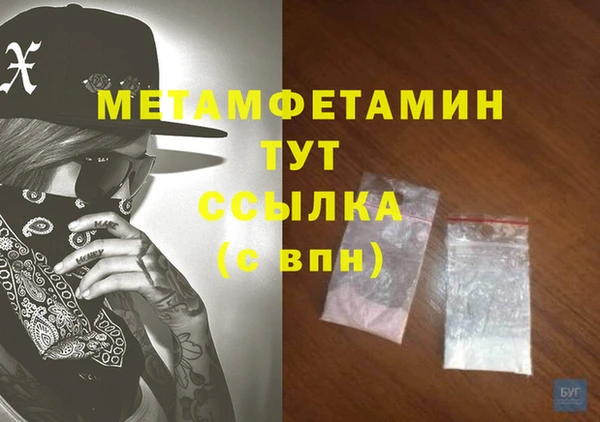 сатива Новодвинск