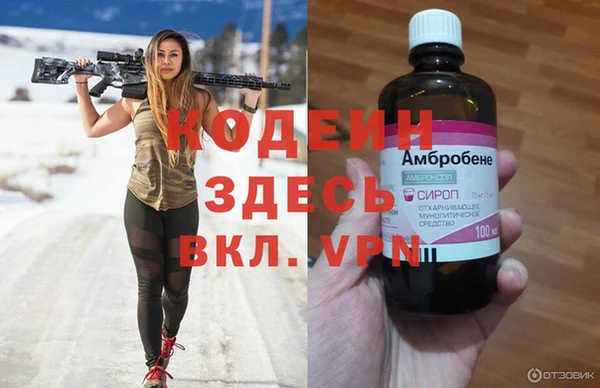 сатива Новодвинск