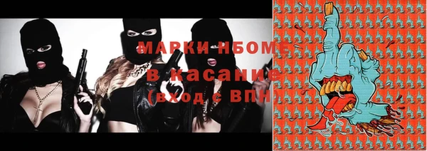 сатива Новодвинск