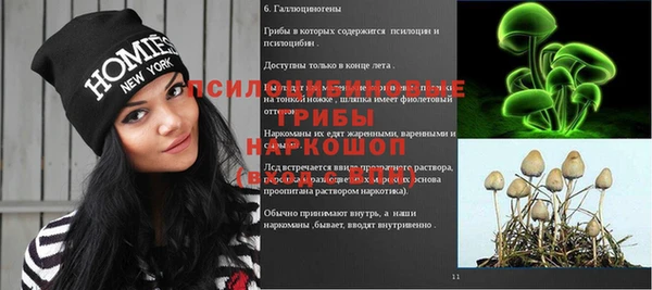 apvp Новозыбков