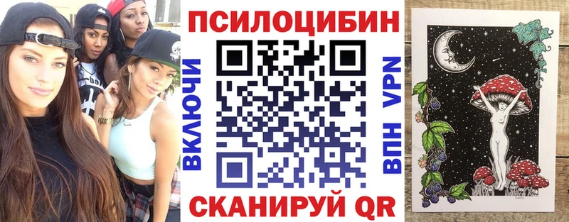 Галлюциногенные грибы Psilocybine cubensis Тимашёвск